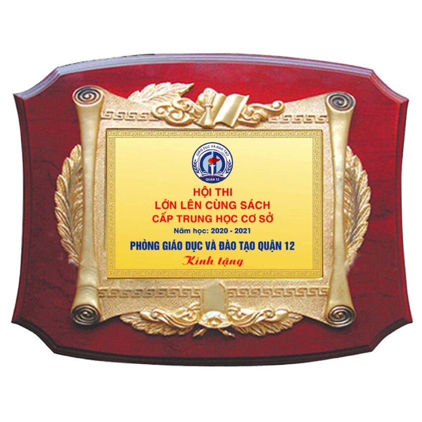 Mẫu biểu trưng kỷ niệm chương tặng hội thi trường học