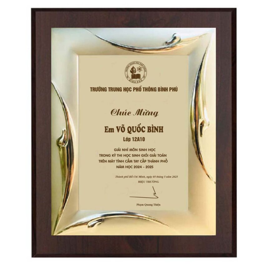 Mẫu bằng khen học sinh giỏi cấp thành phố