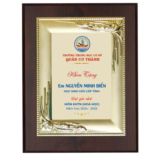 Bảng vinh danh học sinh giỏi cấp tỉnh