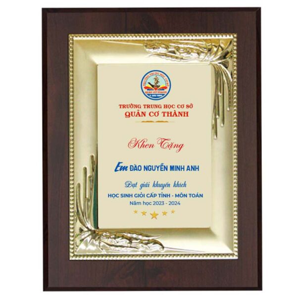 Bảng tôn vinh học sinh giỏi cấp tỉnh
