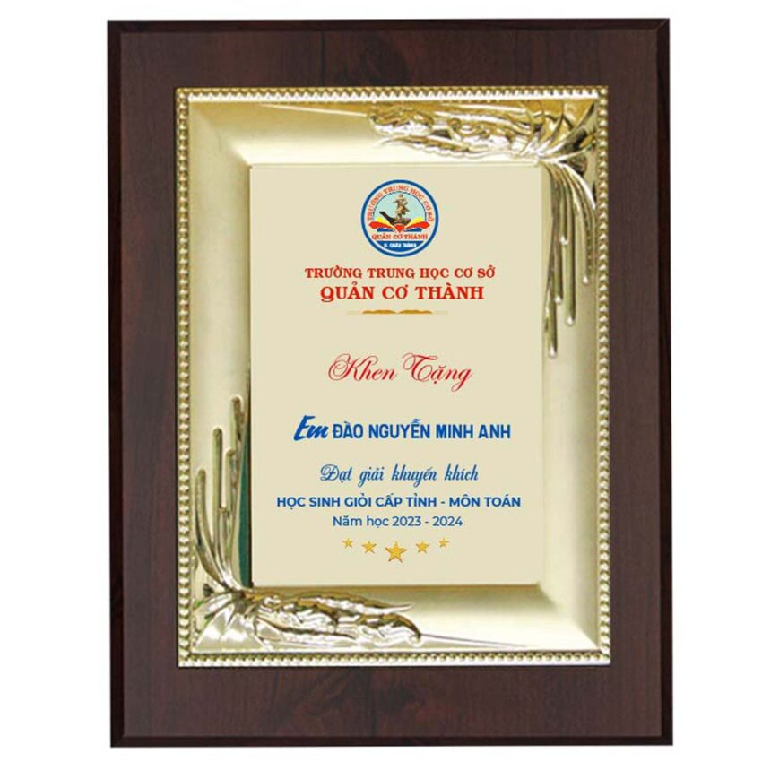 Bảng tôn vinh học sinh giỏi cấp tỉnh